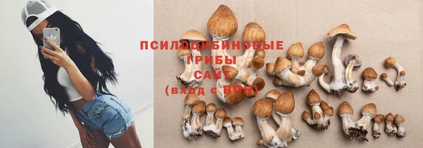 бошки Надым