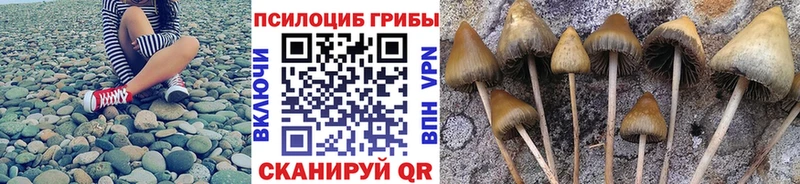 Галлюциногенные грибы мухоморы  Сортавала 