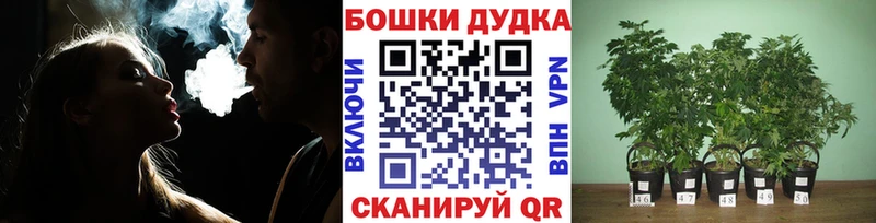 наркота  Сортавала  Бошки марихуана SATIVA & INDICA 